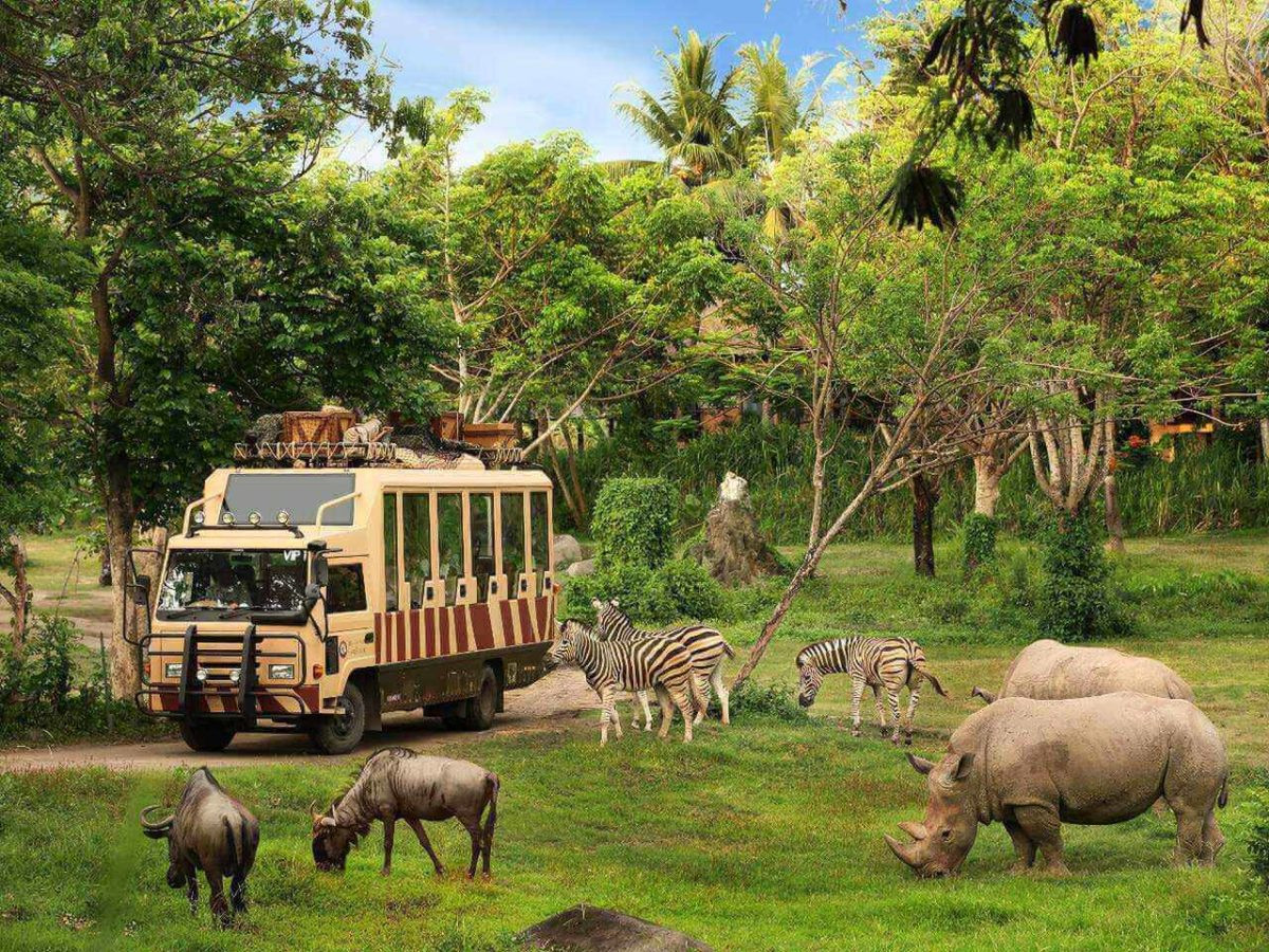 4D3N AMAZING BALI (SAFARI + NUSA PENINDA)