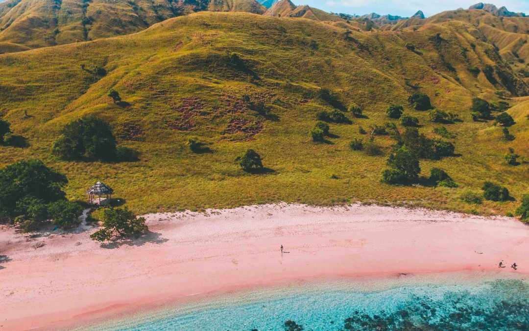 4D3N LABUAN BAJO - KOMODO TOURS Photo 6