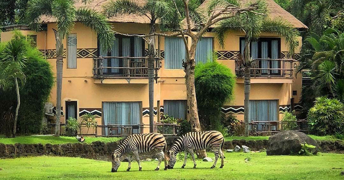 5D4N BALI 1N SAFARI PARK STAY 5天4晚巴厘岛(体验入住非洲野奢住宿) Photo 2