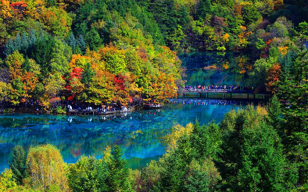 6D5N CHENGDU + JIUZHAIGOU+ DUJIANGYAN PHOTO SHOOTING TOUR 6天5晚 成都 + 九寨沟 + 都江堰 （大熊猫）旅拍 Photo 2