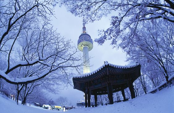6D5N Inspiring Seoul - Busan Photo 4