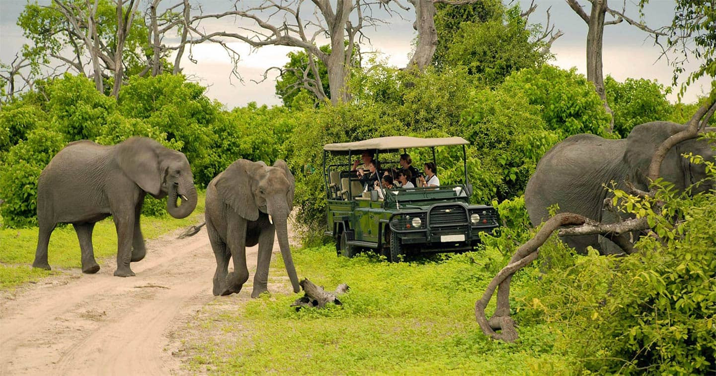 11D8N SOUTH AFRICA, VICTORIA FALLS & CHOBE Photo 4