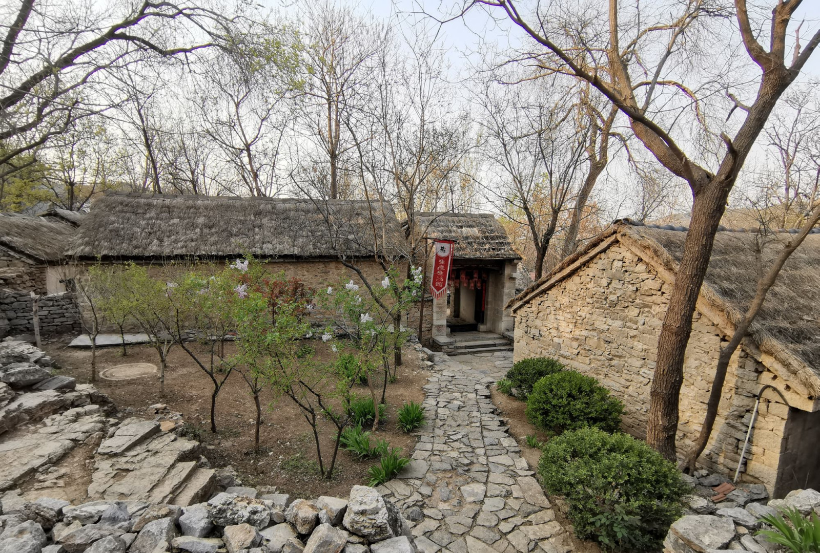 8D7N PICTURESQUE SHANDONG Photo 7