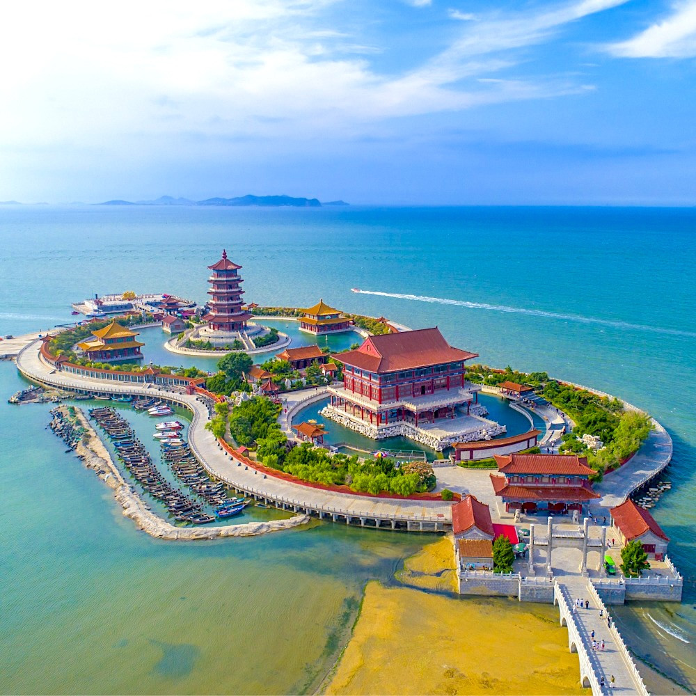 8D7N CHARMING SHANDONG