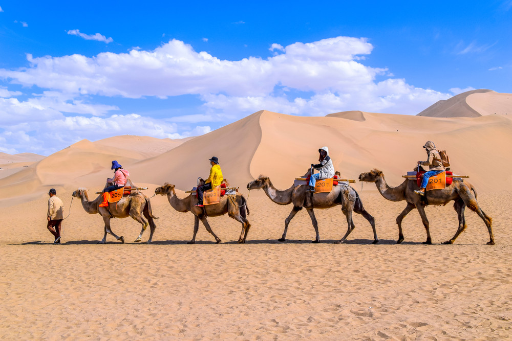 10D9N ANCIENT HISTORY OF SILK ROAD