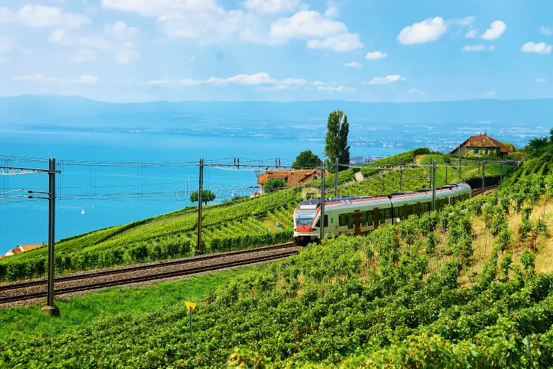 9D7N NOFILTER SWITZERLAND Gallery Photo 6