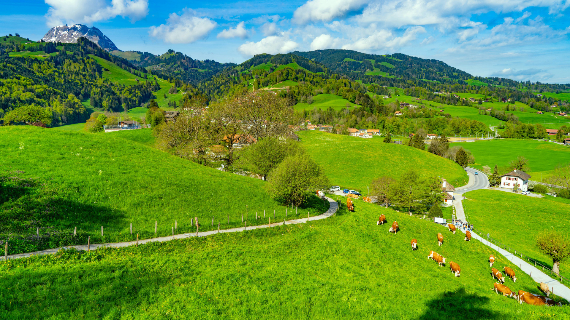 9D7N NOFILTER SWITZERLAND Gallery Photo 3