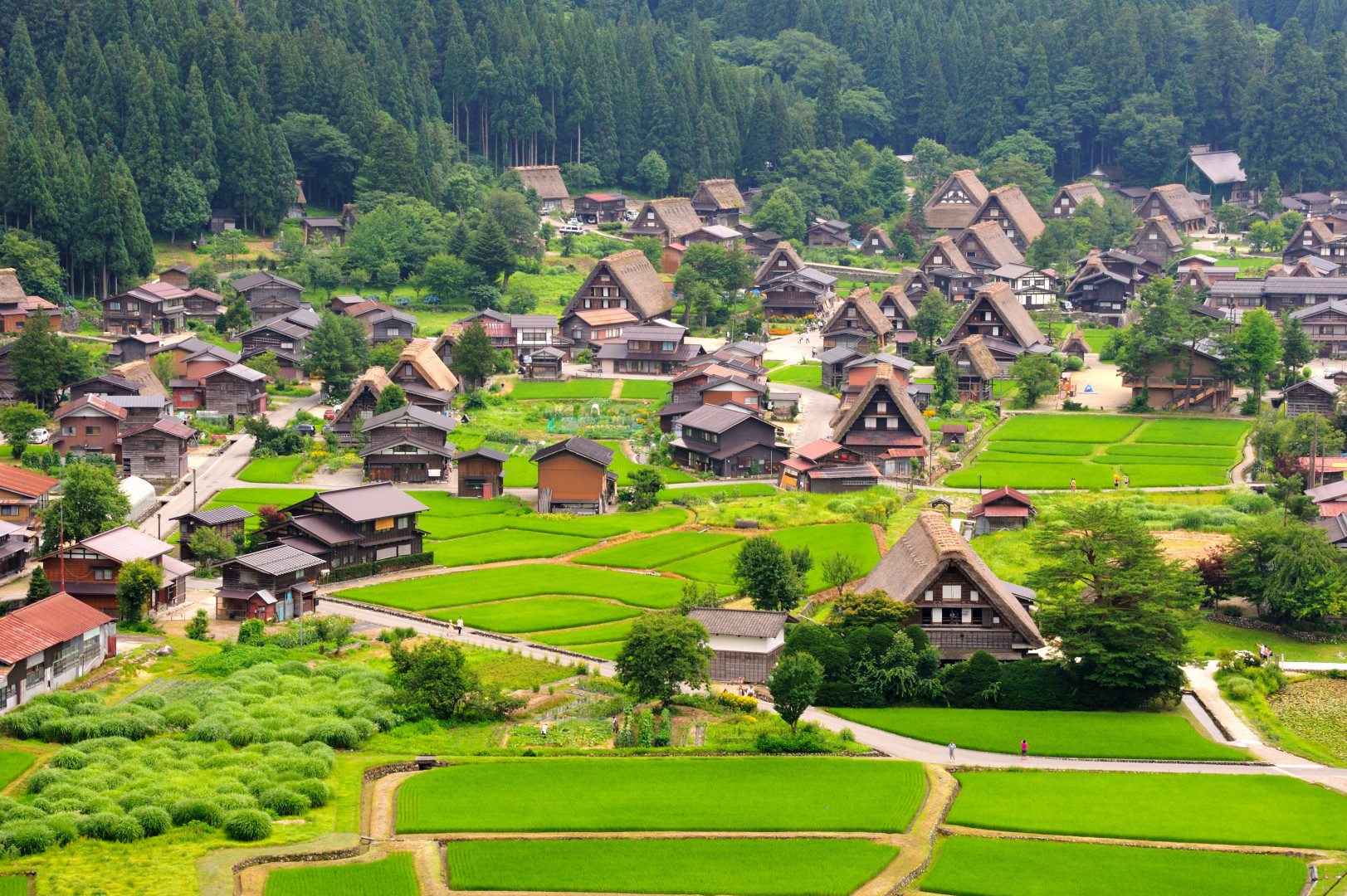 8D5N BEST OF HONSHU Gallery Photo 5