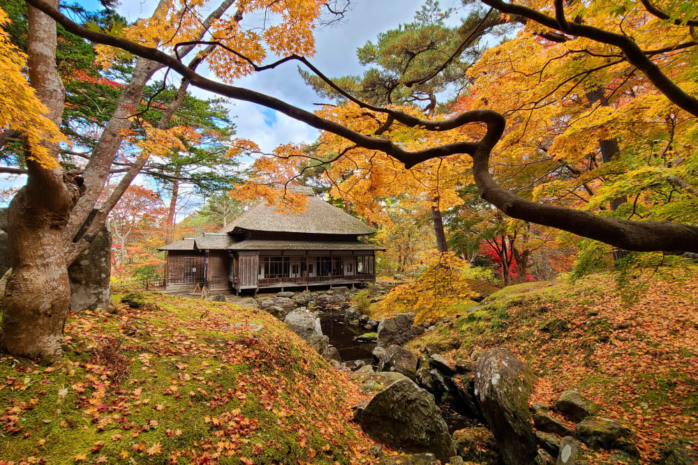 6D5N HOKKAIDO MAPLE