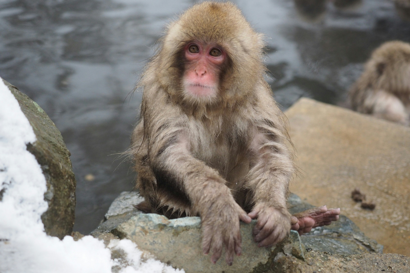 7D5N HOKKAIDO WINTER FUN Gallery Photo 3