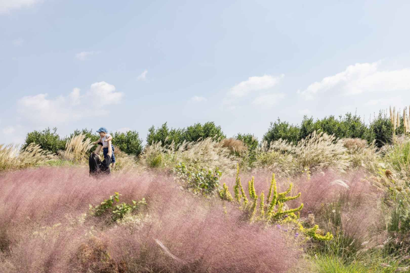 8D6N DISCOVERY JEJU & SEOUL