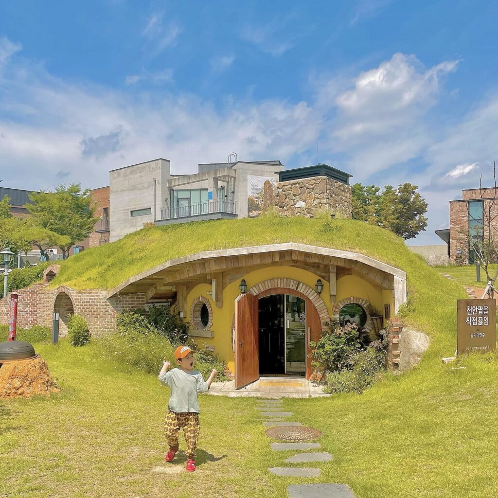 8/9D 6N KOREA FAMILY WONDERS Gallery Photo 5