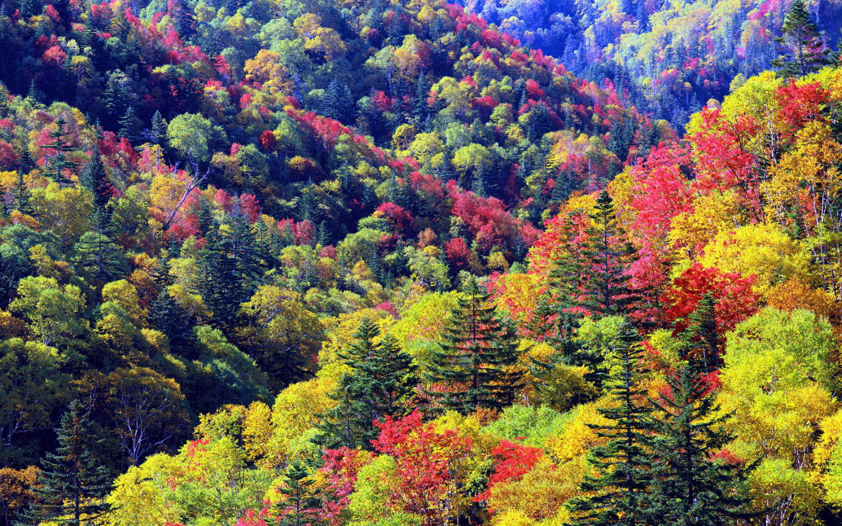 Parlo Tours 7D5N HOKKAIDO AUTUMN Landing Photo